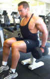dumbell_shrug_top.jpg (12865 bytes)